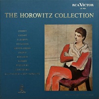 RCA Victor : Horowitz - The Collection